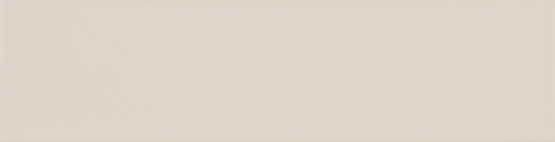 Evolution Gris Claro Brillo 5x20