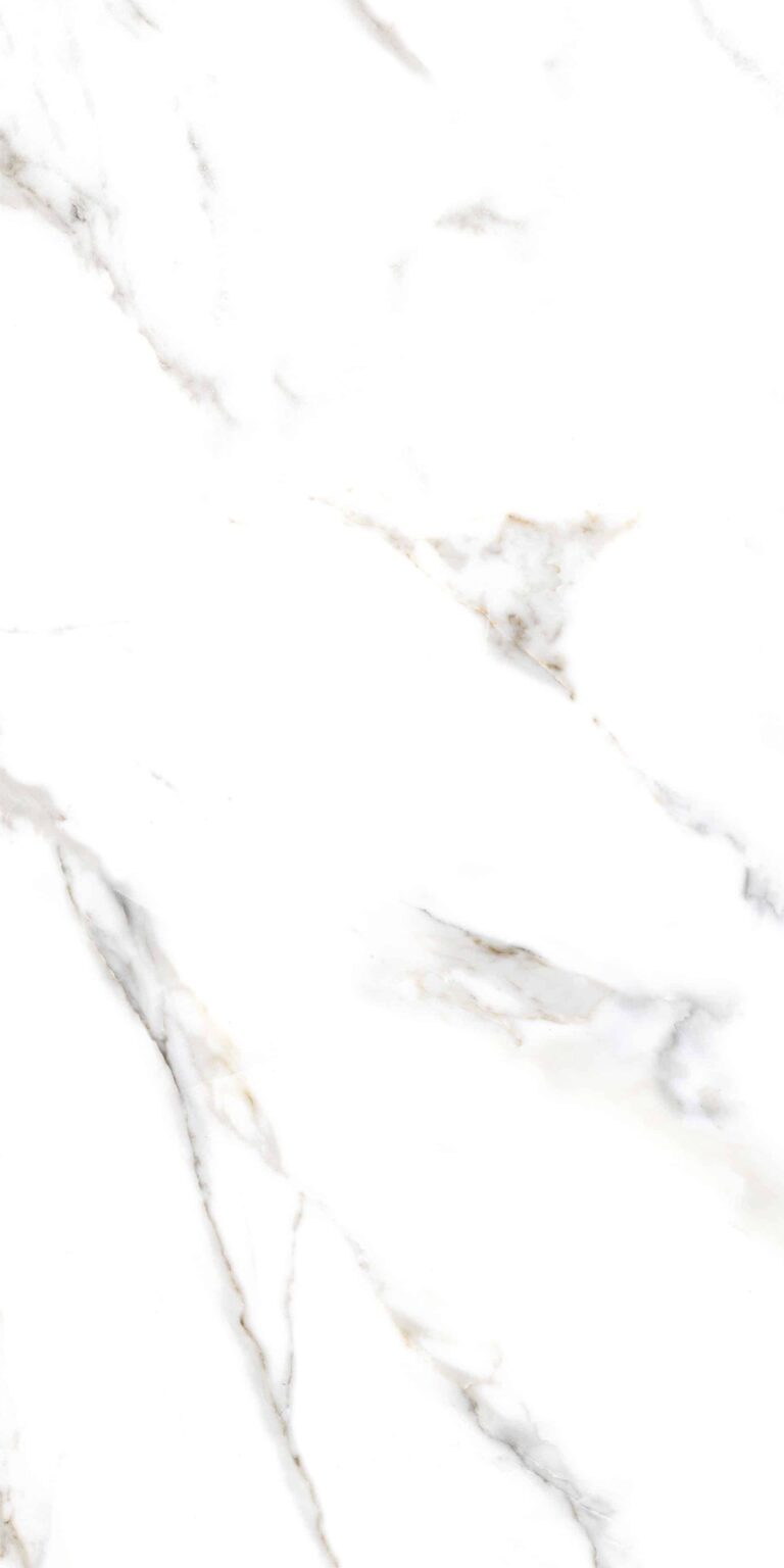 CULCUTTA LUCIANA NEW_R2