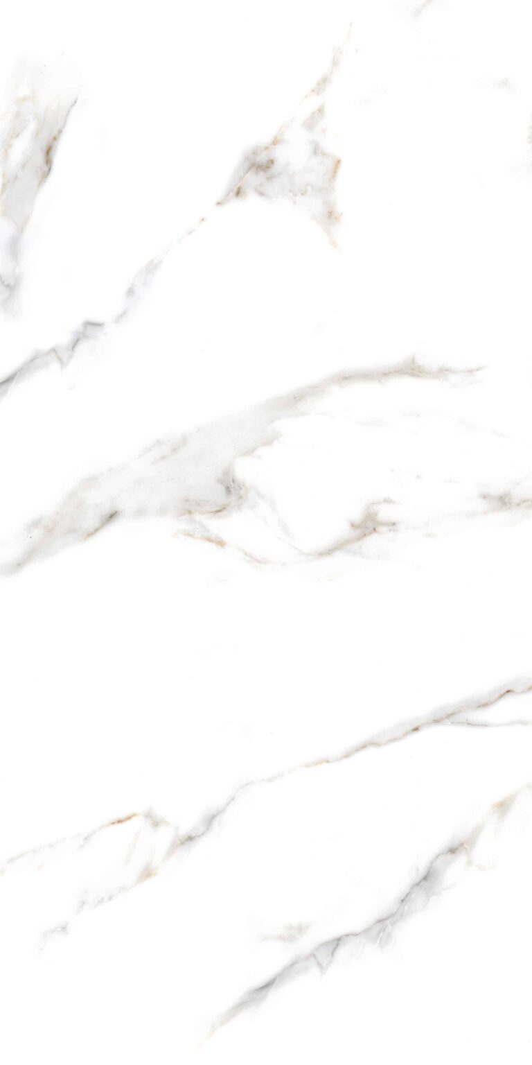 CULCUTTA LUCIANA NEW_R3