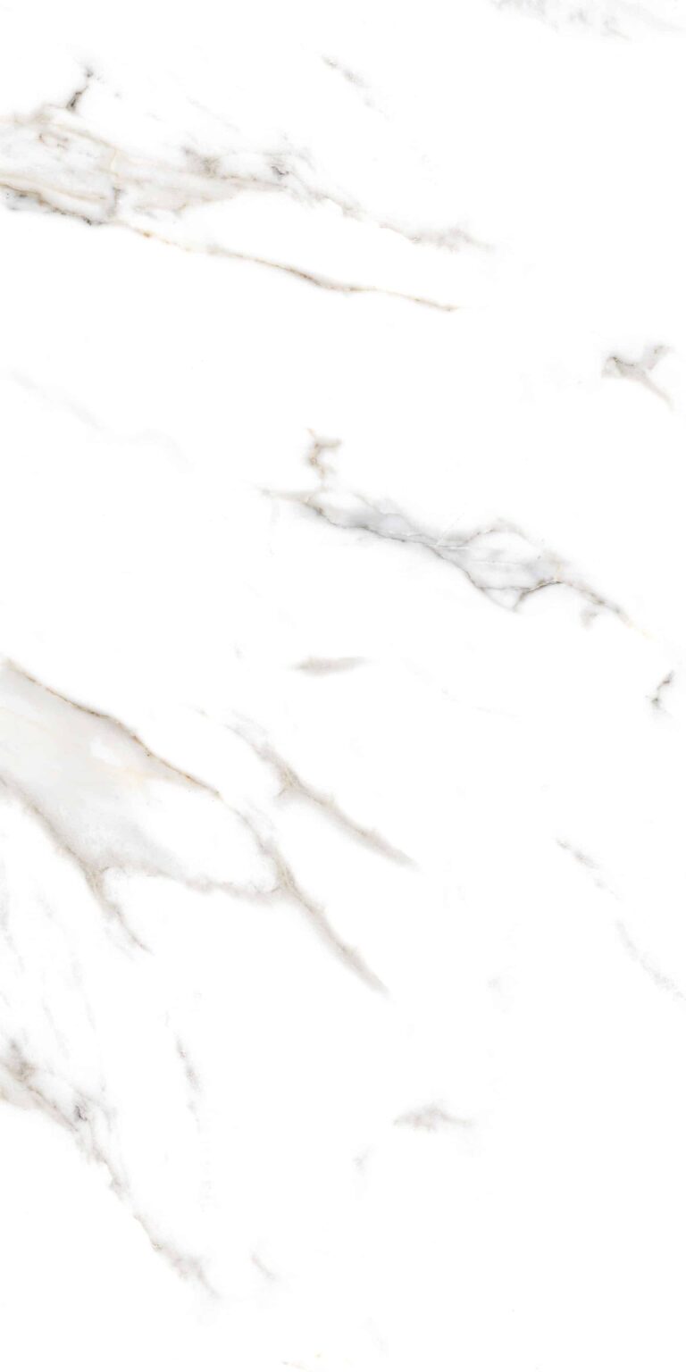 CULCUTTA LUCIANA NEW_R4