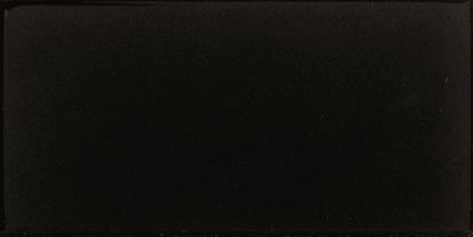 Evolution Negro Brillo 7,5x15