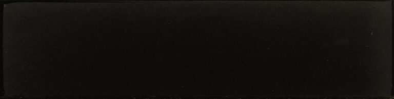 Evolution Negro Mate 10x40