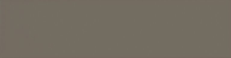 Evolution Gris Oscuro Brillo 10x40