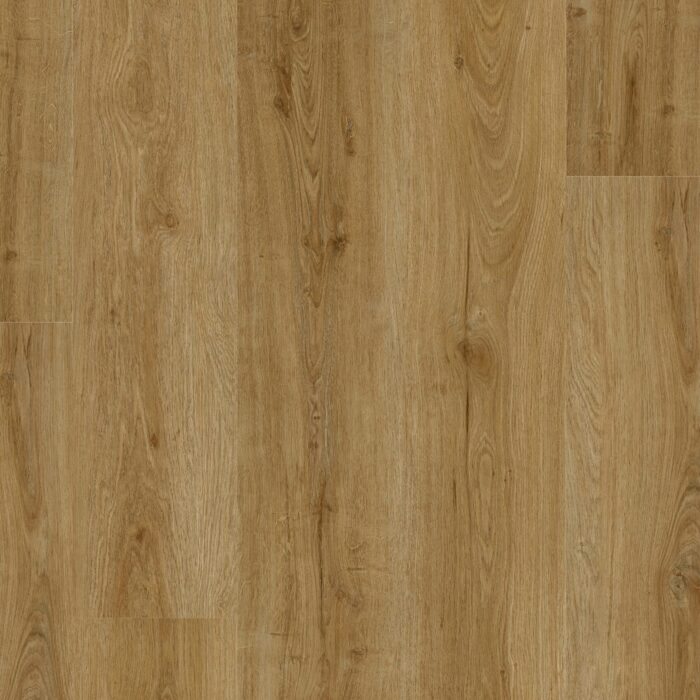 Quercia Savoia 18,11 x 121,92