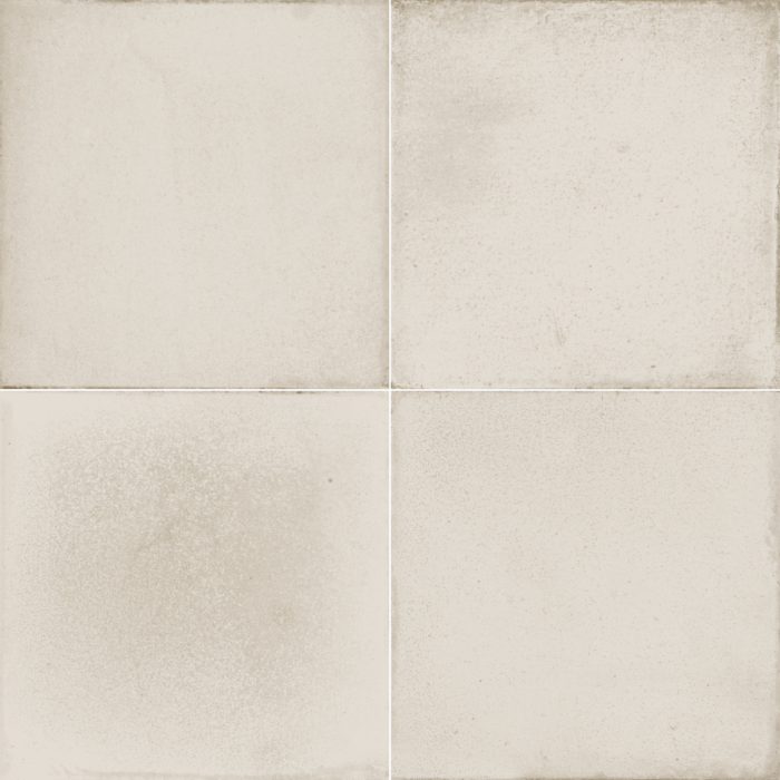 Terra Viva Avorio 20x20