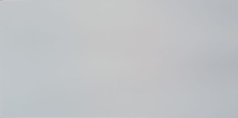 Prestige White Matt | 60x120cm