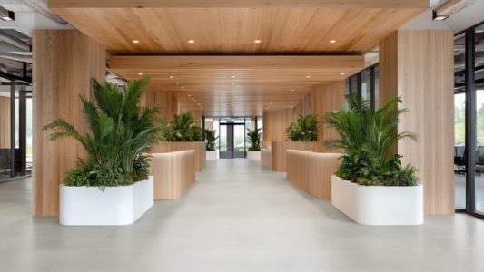 CEMENTO 30,5X91,5 GRIGIO CHIARO (54-5) ambiente