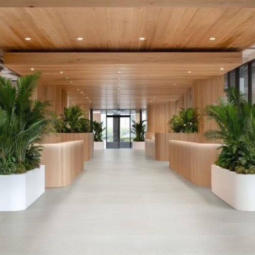 CEMENTO 30,5X91,5 GRIGIO CHIARO (54-5) ambiente