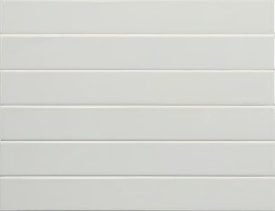 Evolution Gris Claro Brillo | 5x40cm