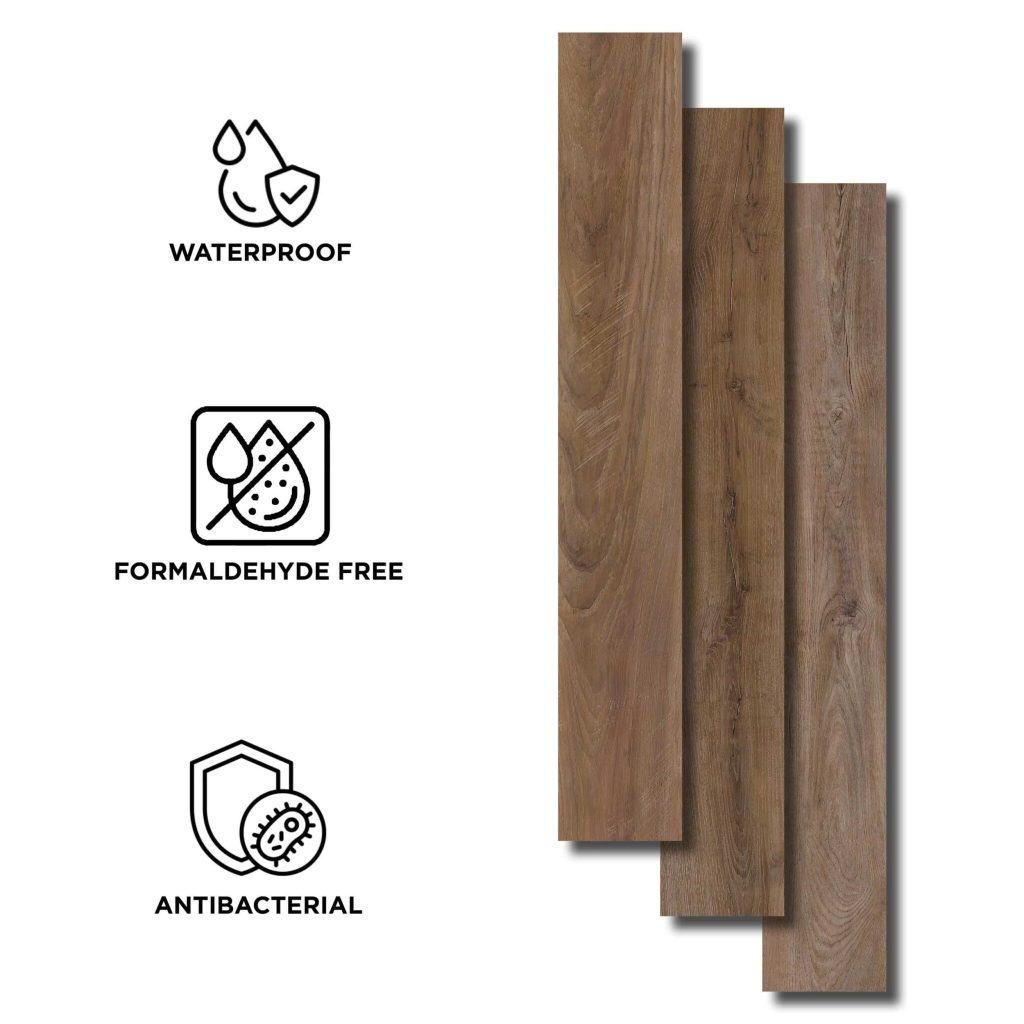 Quercia antico cadore3