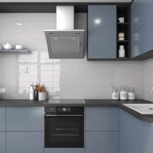 Evolution Gris Claro Brillo | 10x40cm