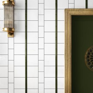 Evolution Blanco Brillo 10x40