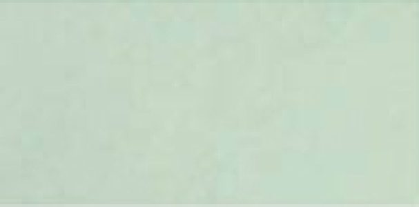 Village Mint 6,5x13,2