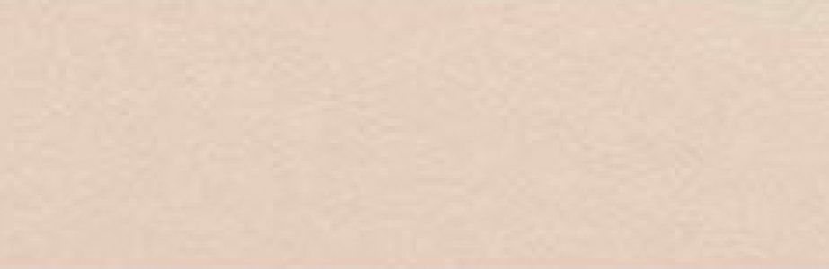 Village Mushroom 6,5x20