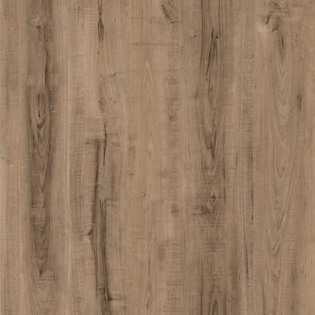 quercia provenzale2